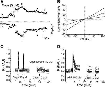 Fig. 4.