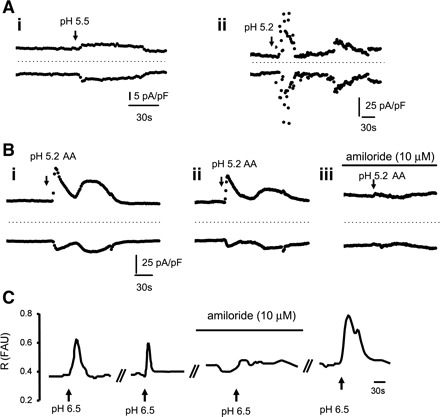 Fig. 7.