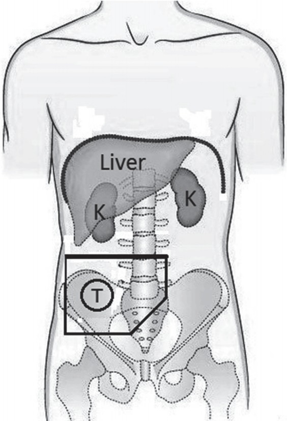 Fig. 1.