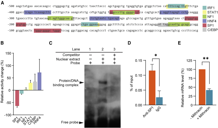 Figure 5