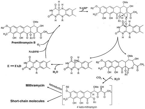 FIG. 4.