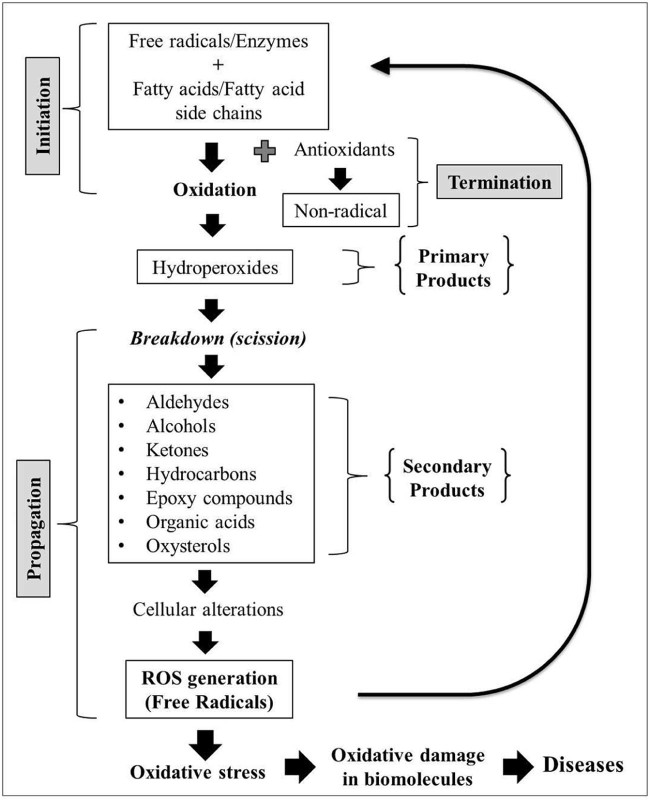 Fig. 2