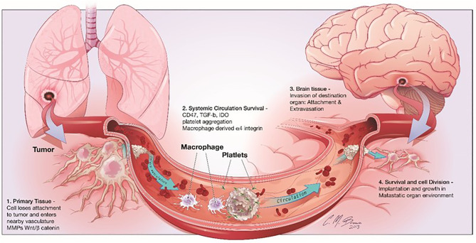 Figure 1