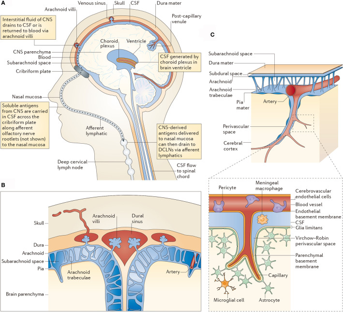 Figure 2