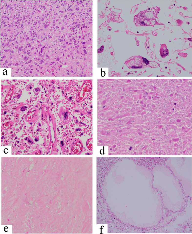 Fig.3