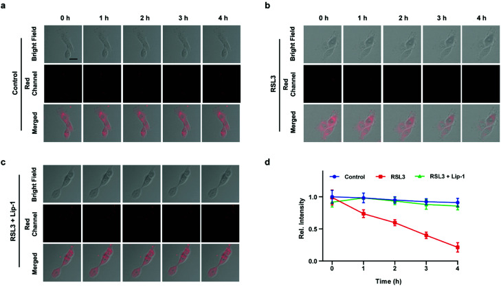 Fig. 4