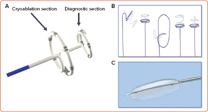 Figure 2: