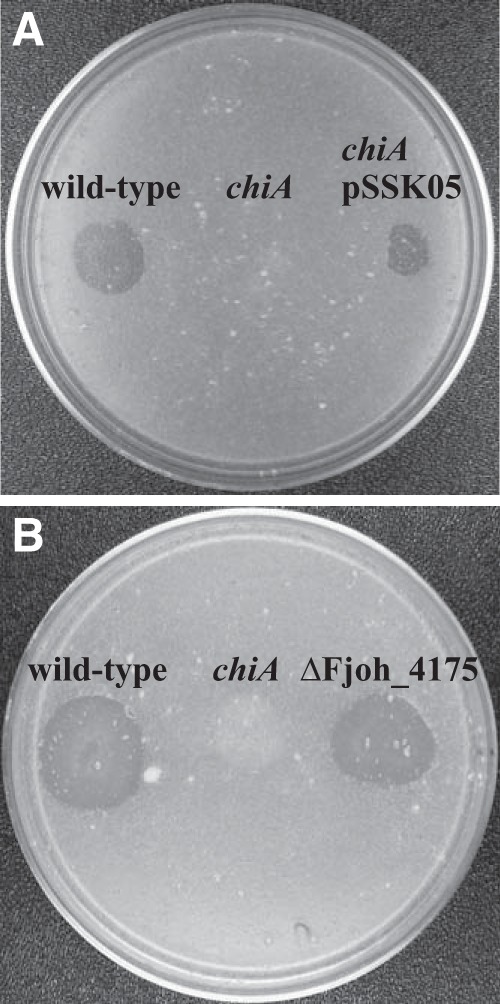 FIG 2