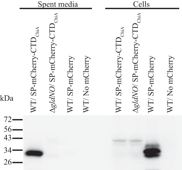 FIG 8