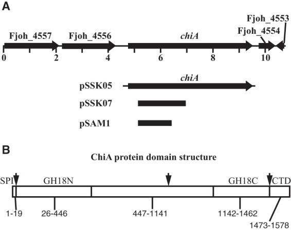 FIG 1