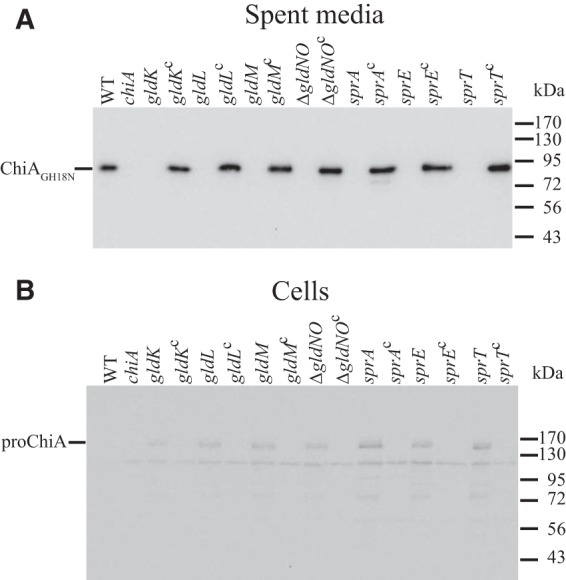 FIG 6