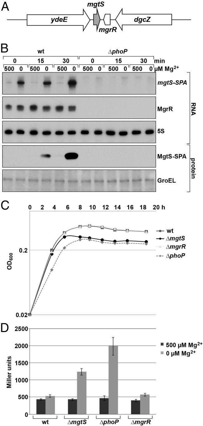 Fig. 1.