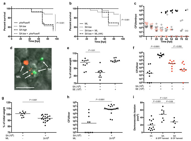 Human skin commensals augment Staphylococcus aureus pathogenesis - PMC