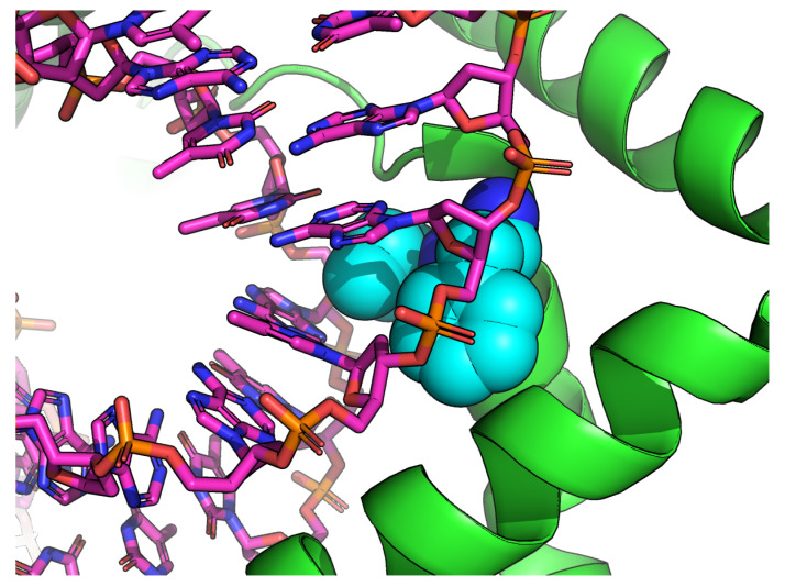 Figure 7