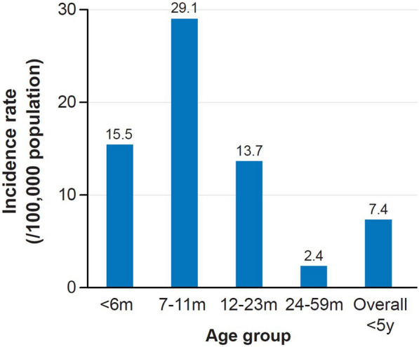 Fig. 3