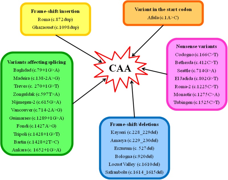 FIGURE 3