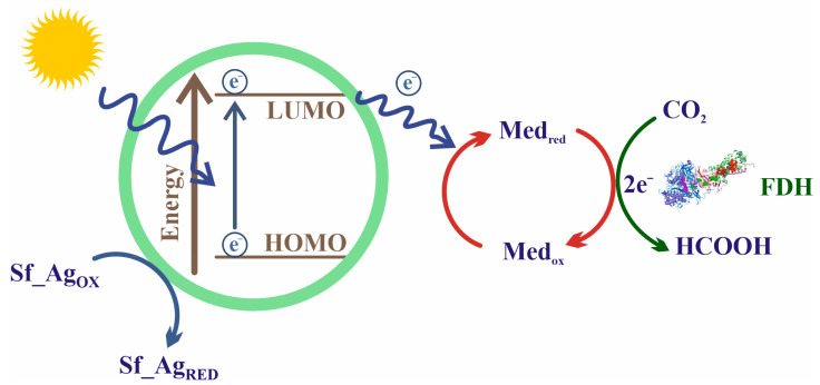 Figure 12