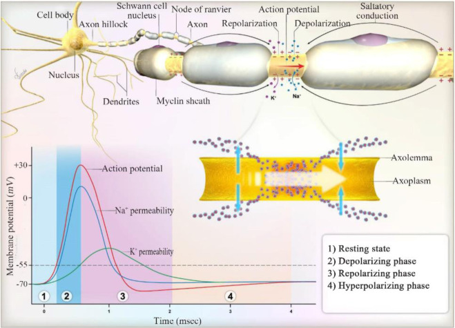 Figure 2.