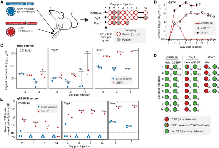 Figure 5