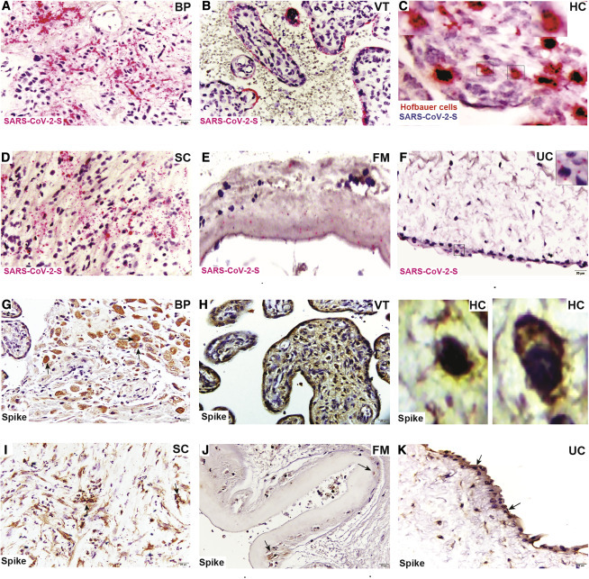 Figure 2