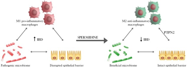 Graphical Abstract