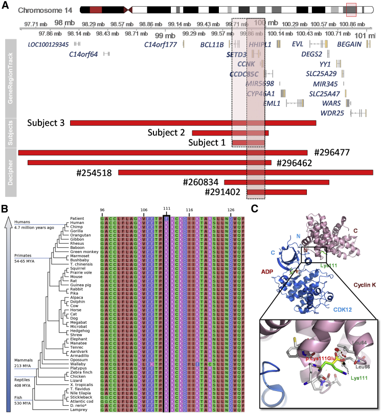 Figure 2