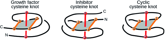 Figure 11.