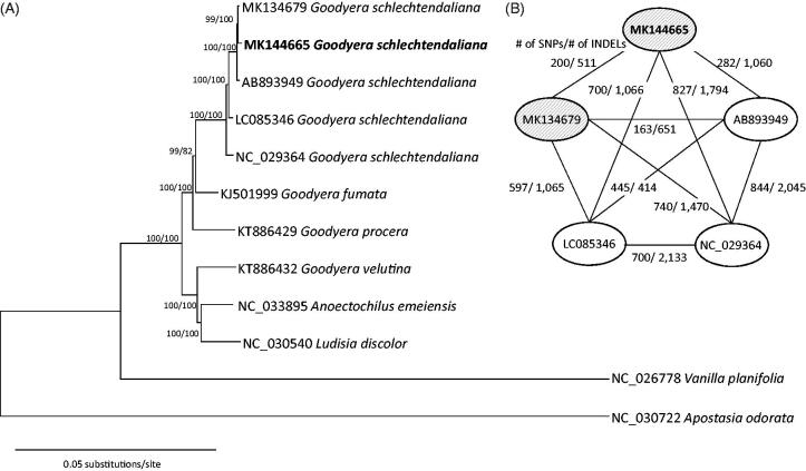 Figure 1.