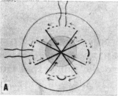 FIGURE 8. A