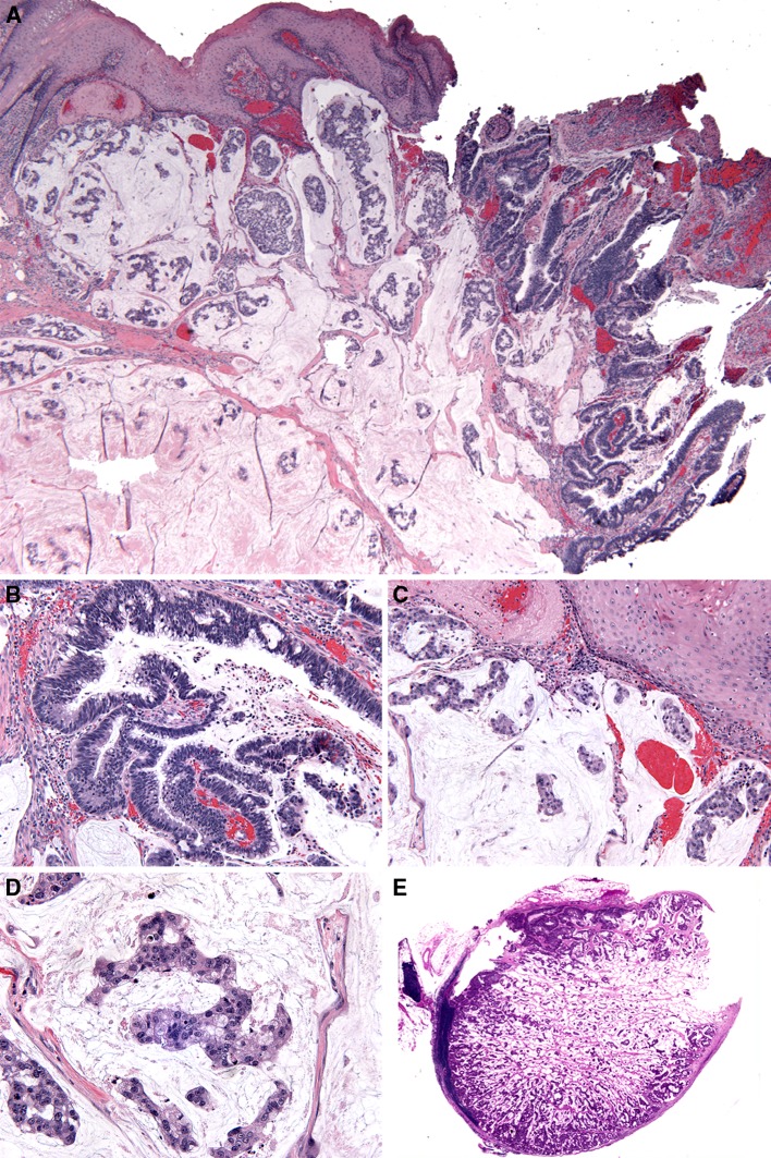 Fig. 2