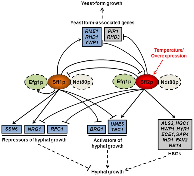 Figure 10