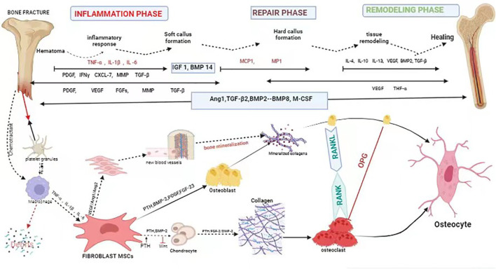 Figure 1