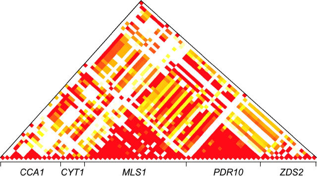 Figure 1.—