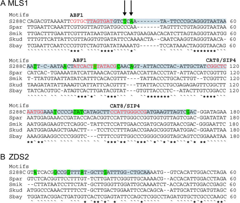 Figure 4.—