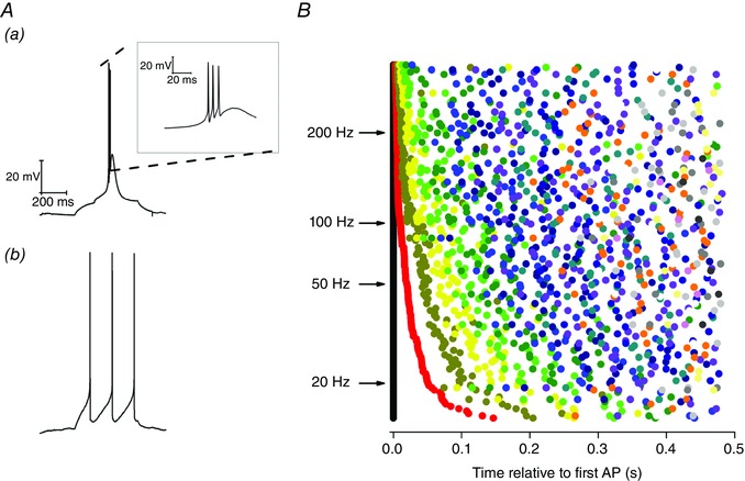 Figure 10