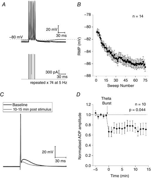 Figure 17