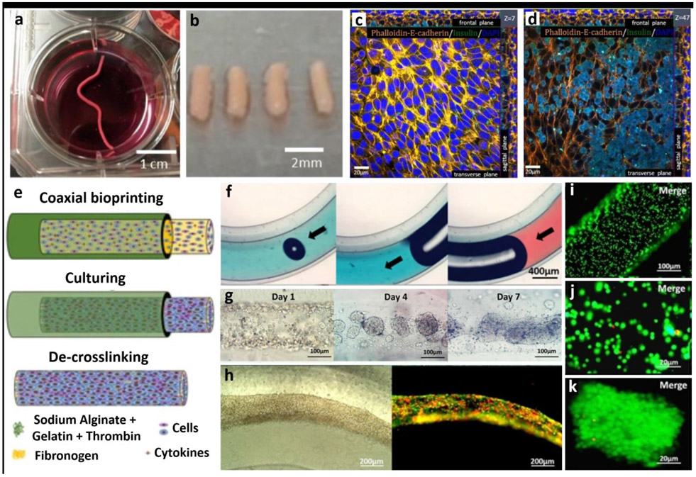 Figure 6: