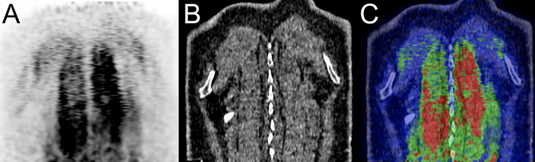 Figure 6