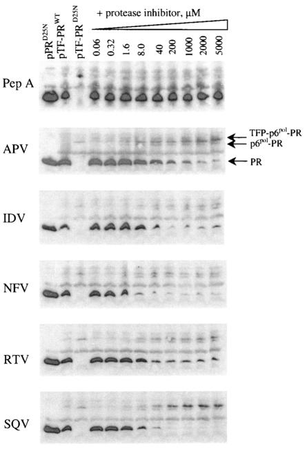 FIG. 3.