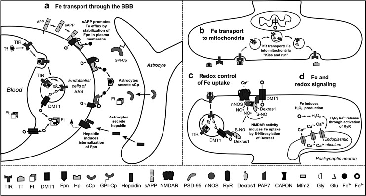 FIG. 4.