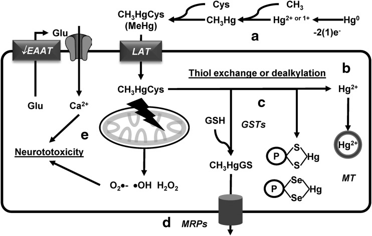 FIG. 9.