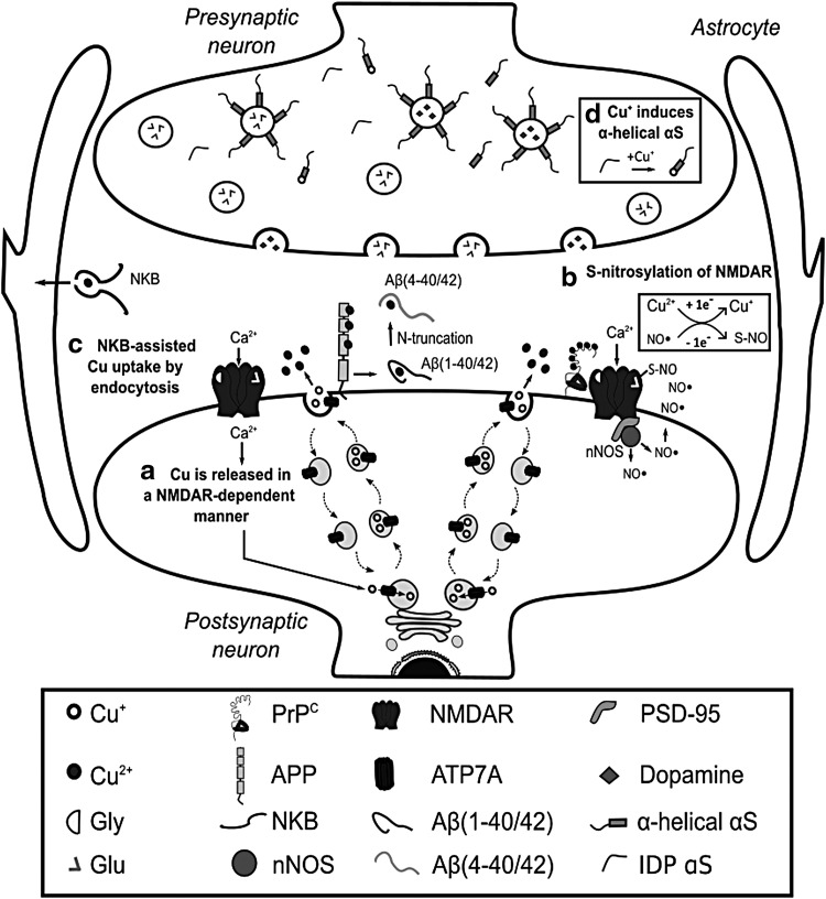 FIG. 2.