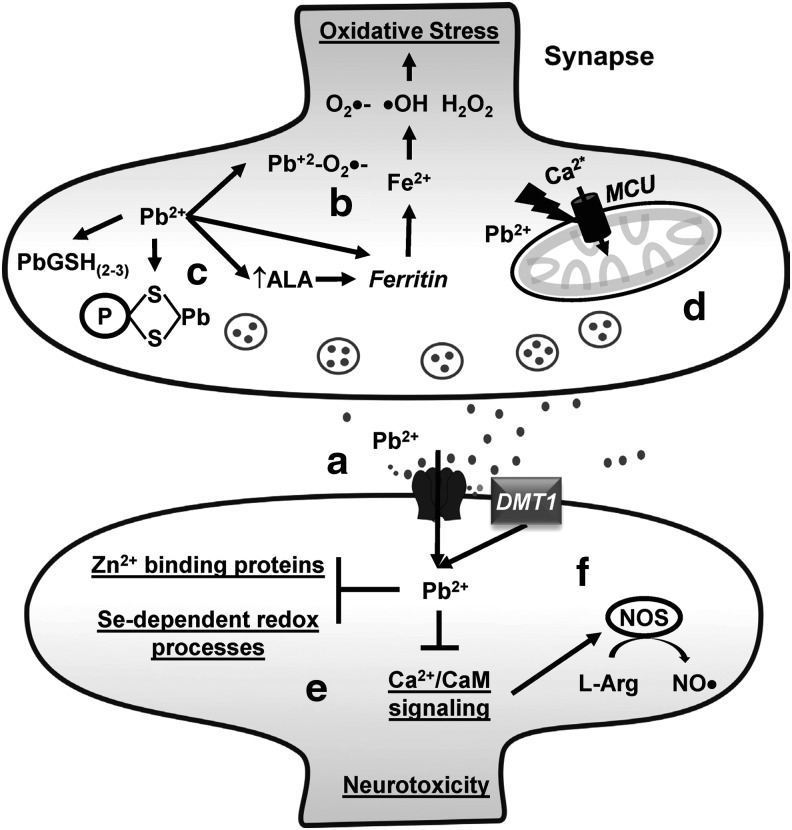 FIG. 8.