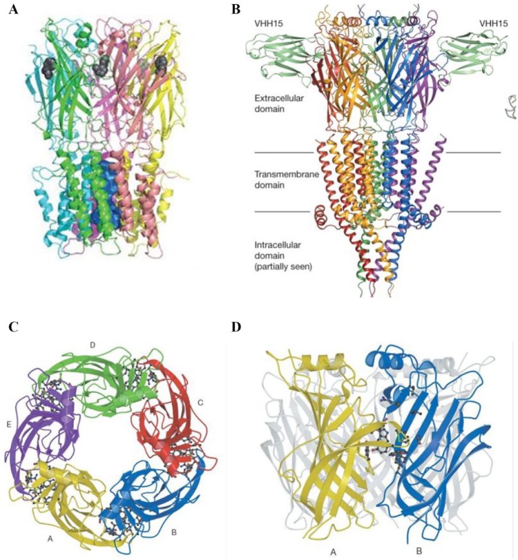 Figure 1.