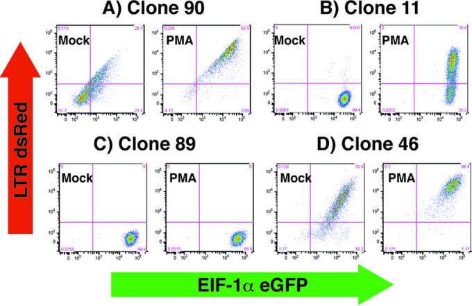 FIG 2