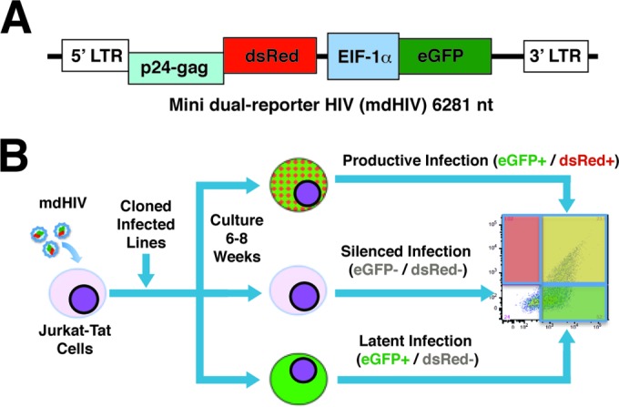 FIG 1