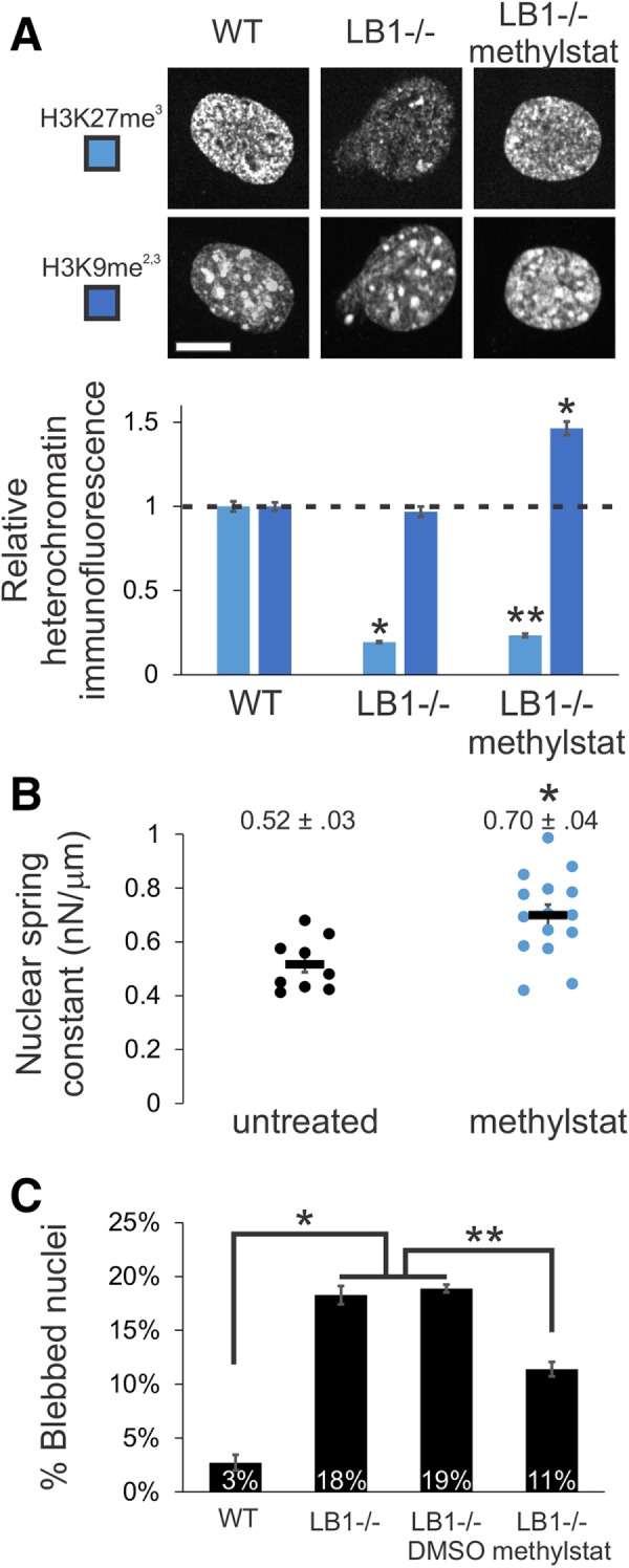 FIGURE 3: