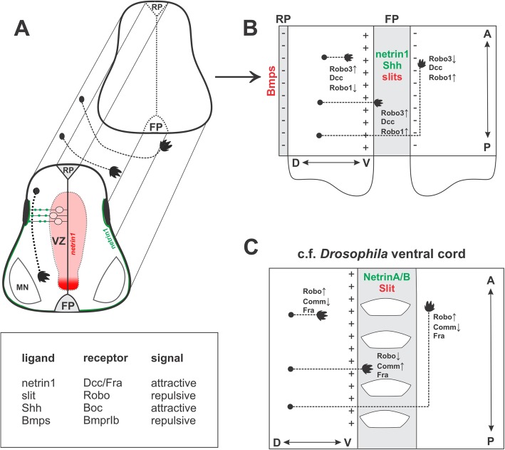 Fig. 3