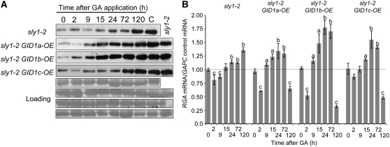 Figure 7.