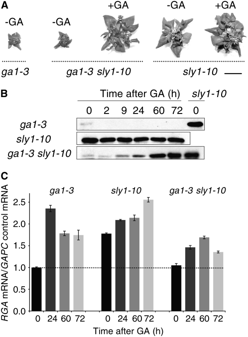 Figure 6.